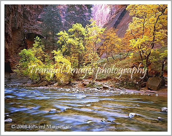 450562   Around the bend in the Virgin Narrows, Utah